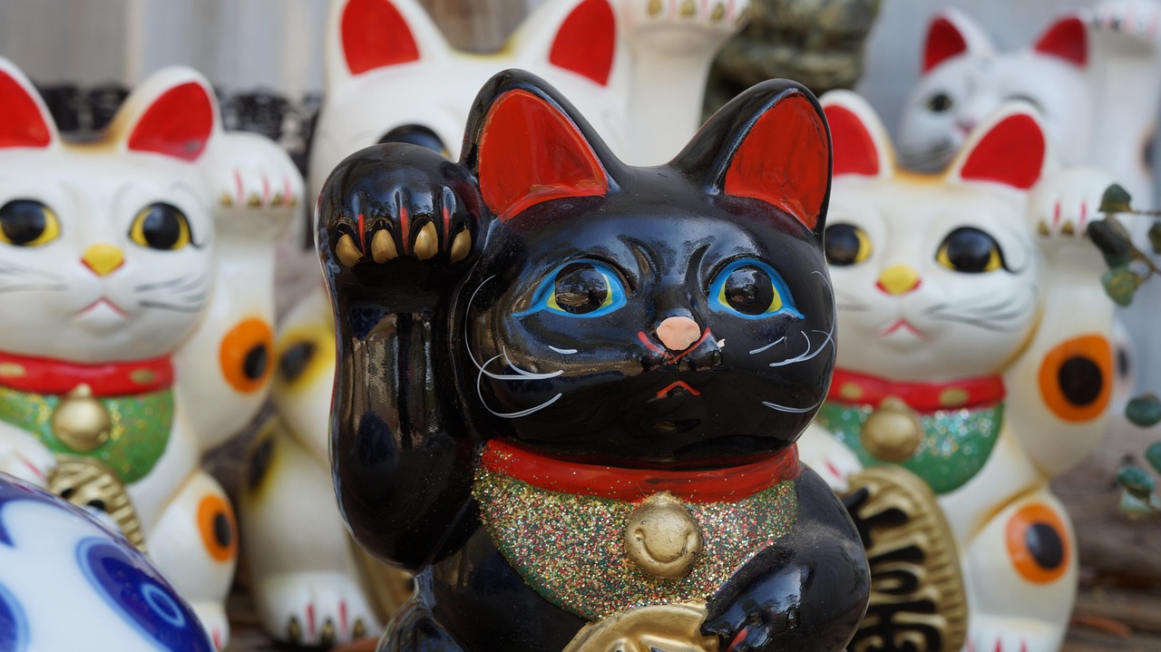 lucky cat animal themed slot fortune